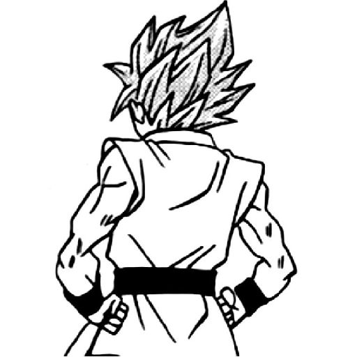 Goku 29