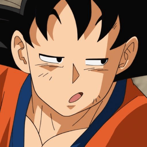 Goku 13