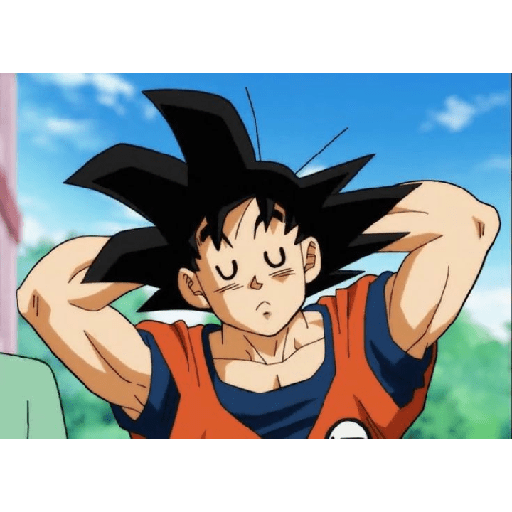 Goku 10