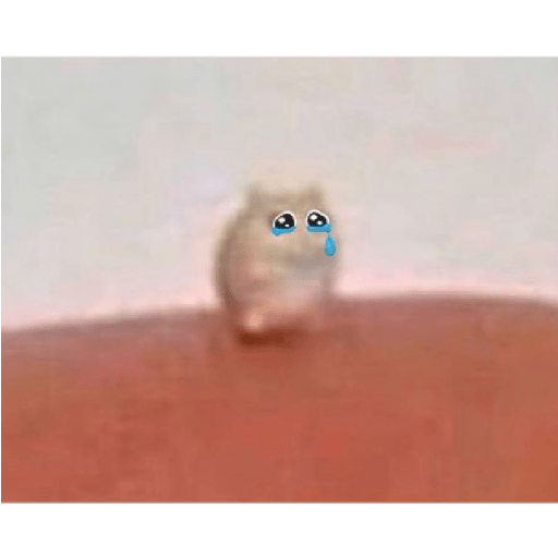 Xddddd