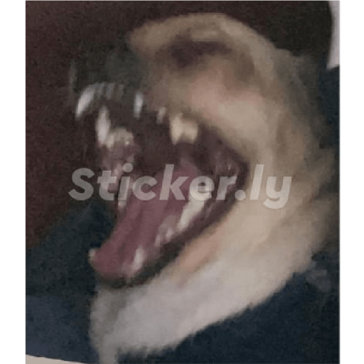 Xddddd