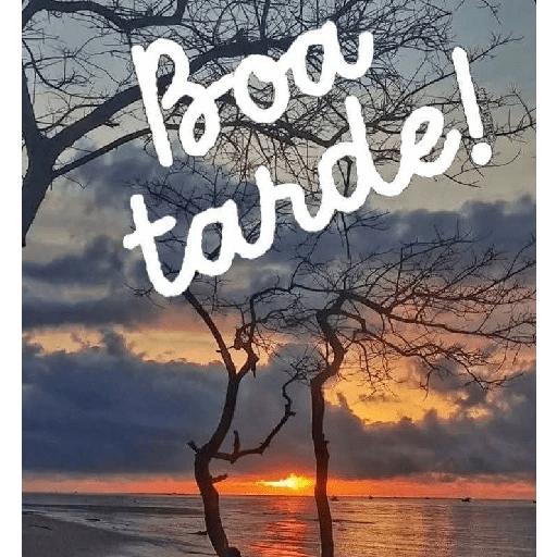 B dia, tarde e noite XXVII 20