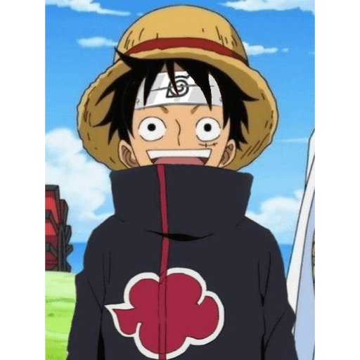 Monkey D Luffy 4 21