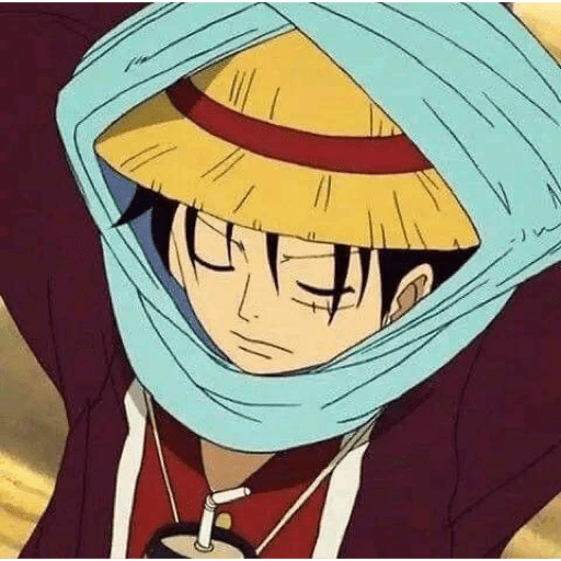 Monkey D Luffy 4 23