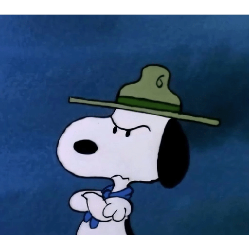 Snoopy com raiva 1