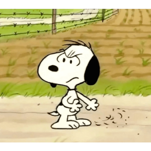 Snoopy com raiva 2