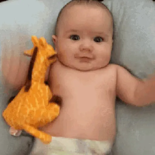 Bebês  26