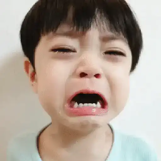 Bebês  20