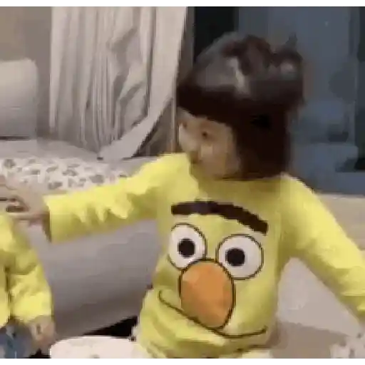 Bebês  16