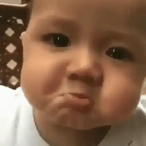 Bebês  7