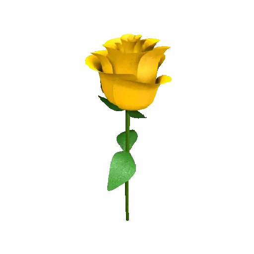 Flor🌹 2