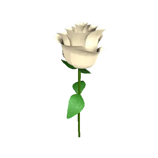 Flor🌹 4