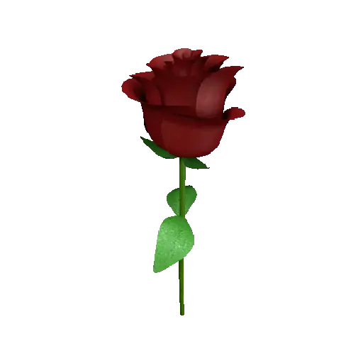 Flor🌹 5