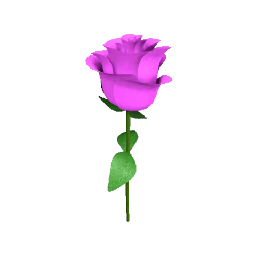 Flor🌹 7