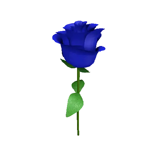 Flor🌹 8