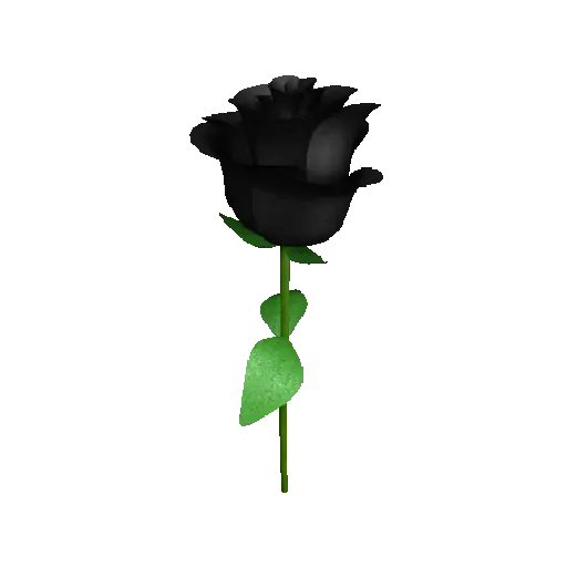 Flor🌹 9