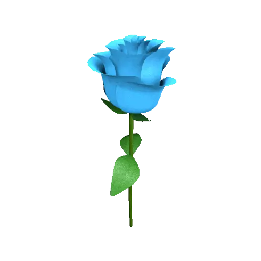 Flor🌹 3