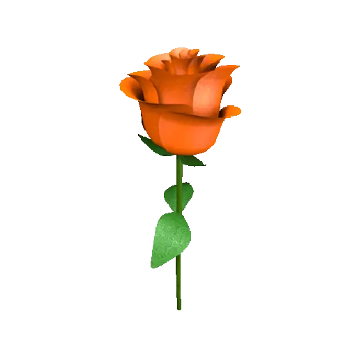 Flor🌹 6