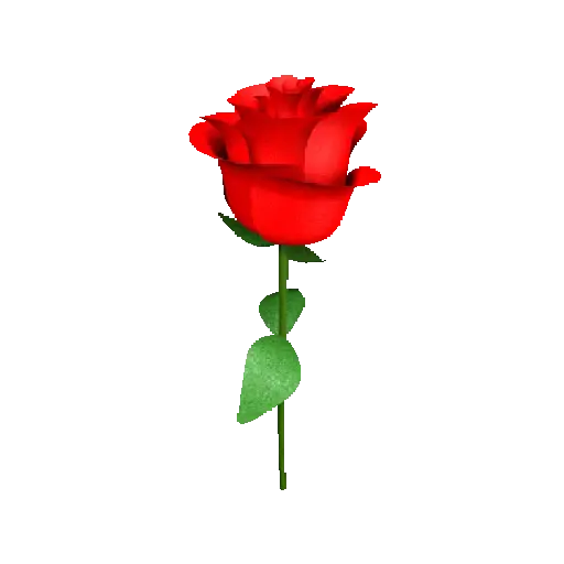 Flor🌹 10