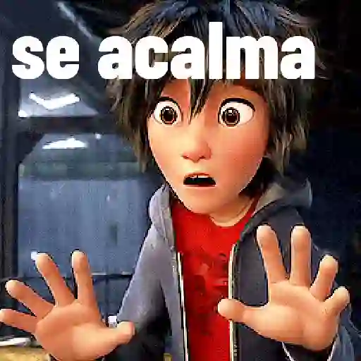 Operação Big Hero  28