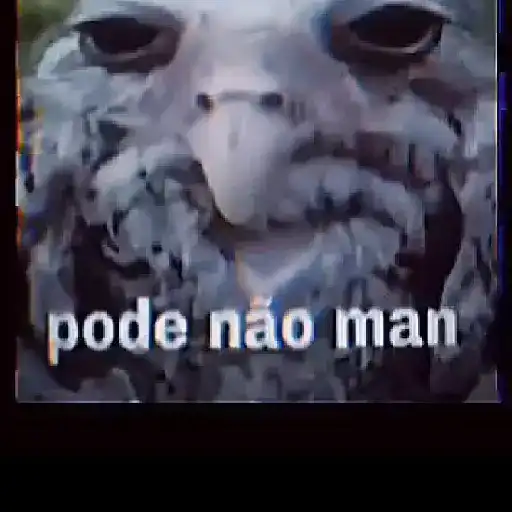 Meme 6