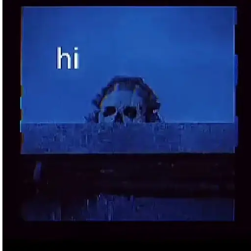 Meme 7