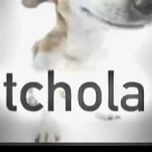Meme 11
