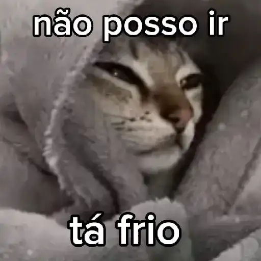 Frio ❄️☃️ 13