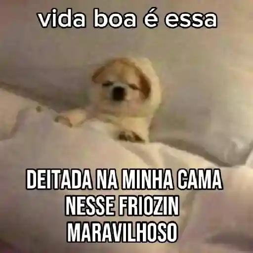 Frio ❄️☃️ 12