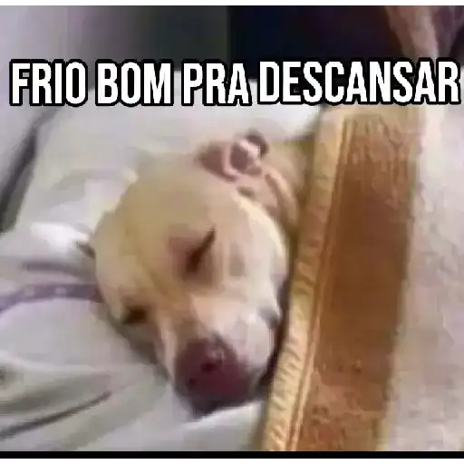 Frio ❄️☃️ 11