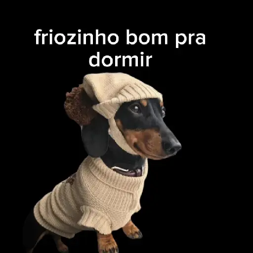 Frio ❄️☃️ 8