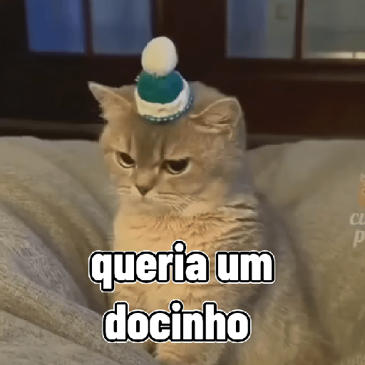 Gatos 10
