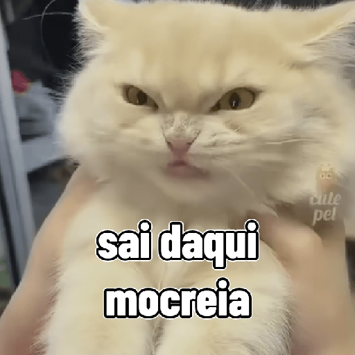 Gatos 9