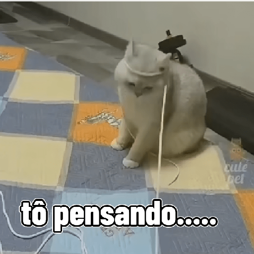 Gatos 7
