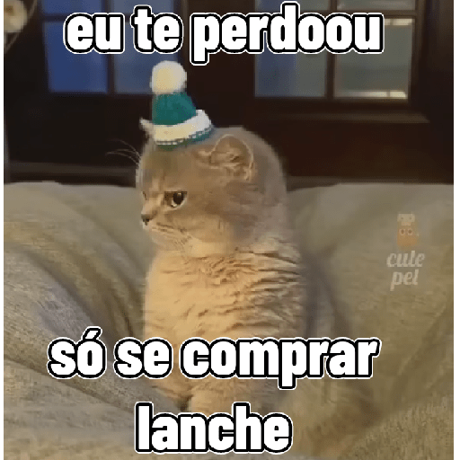 Gatos 6