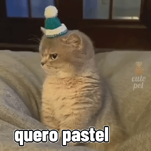 Gatos 5