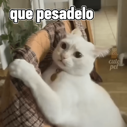 Gatos 4