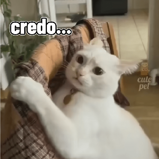 Gatos 3