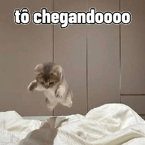 Gatos 2