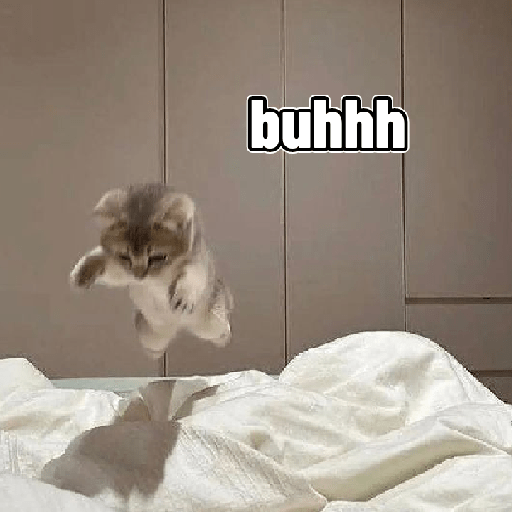 Gatos 1