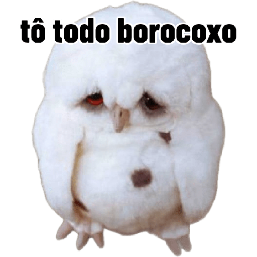 Pode não man meme 15