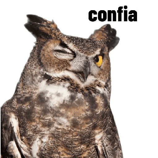 Pode não man meme 13