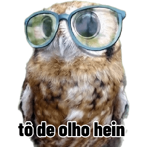 Pode não man meme 3