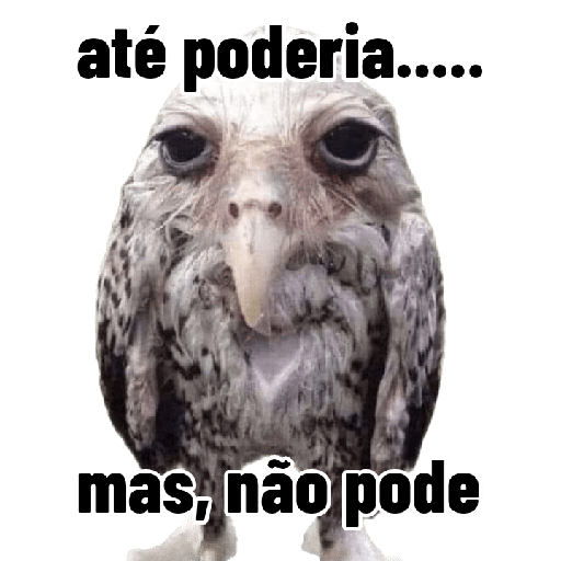 Pode não man meme 2