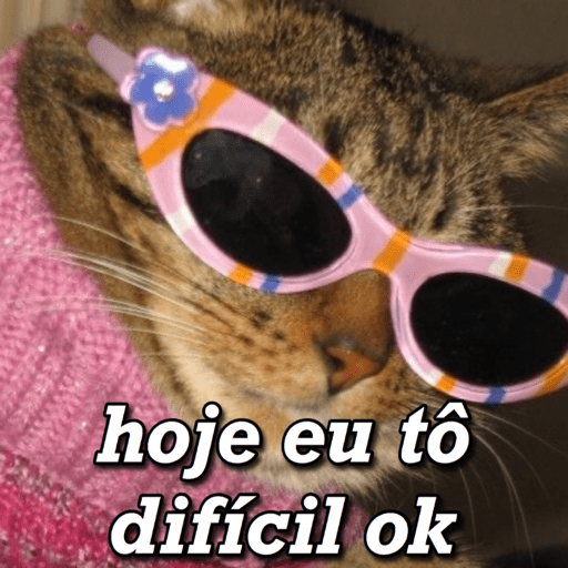 MEMES DE RESPOSTA PRO ZAP 6