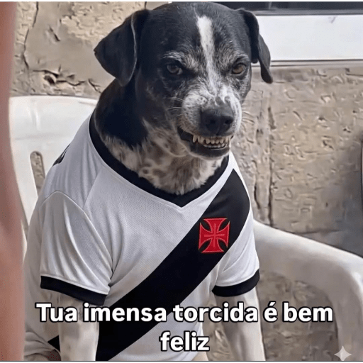 Beleza 13
