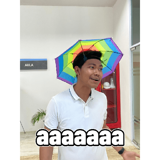 Aaa 13