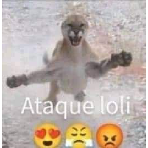GATITOSSS 😻💗 22