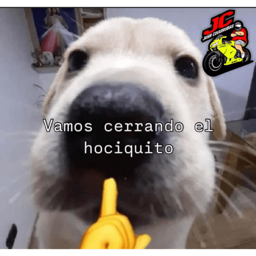 Yaper 3