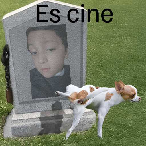 Cosego xd 2